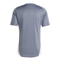 adidas Tiro 24 Competition Trainingstrikot Herren -...