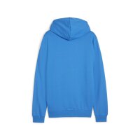 Puma teamGOAL Casuals Full - Zip Hoodie Herren - blau