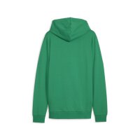 Puma teamGOAL Casuals Full-Zip Hoodie Herren - grün