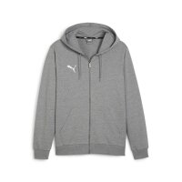 Puma teamGOAL Casuals Full - Zip Hoodie Herren - grau