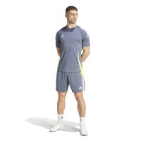 adidas Tiro 24 Trikot Herren - grau/wei&szlig;/gelb