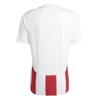 adidas Striped 24 Trikot Herren - rot/weiß