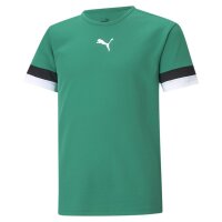 Puma teamRISE Trikot Kinder - grün/weiß/schwarz