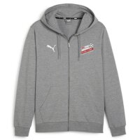 BDFL Puma teamGOAL Casuals Full-Zip Hoodie Herren - grau