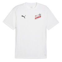 BDFL Puma teamGOAL Trainingsshirt Herren - weiß