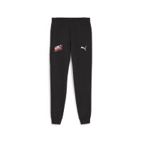 BDFL Puma teamGOAL Casuals Jogginghose Herren - schwarz