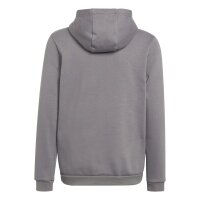 TC Gnadental x adidas Entrada 22 Hoodie Kinder - grau