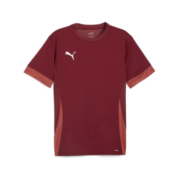 Puma teamGOAL Trikot Herren - dunkelrot