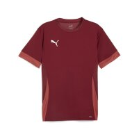 Puma teamGOAL Trikot Herren - dunkelrot