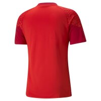 Puma teamCUP Trikot Herren - rot