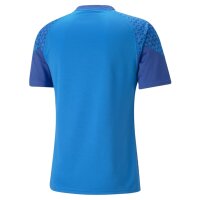 Puma teamCUP Trikot Herren - blau