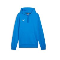 Puma teamGOAL Casuals Hoodie Herren - blau