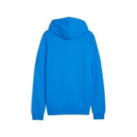 Puma teamGOAL Casuals Hoodie Herren - blau