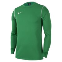 Nike Park 20 Crew Langarm Shirt Herren - gr&uuml;n/wei&szlig;