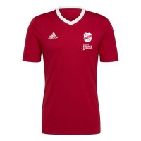 SG Neukirchen-Hülchrath x adidas Entrada 22 Trikot...