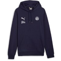 DSV98 x Puma teamGOAL Casuals Hoodie Kinder - navy