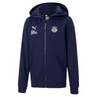 DSV98 x Puma teamGOAL 23 Full-Zip Hoodie Kinder - navy