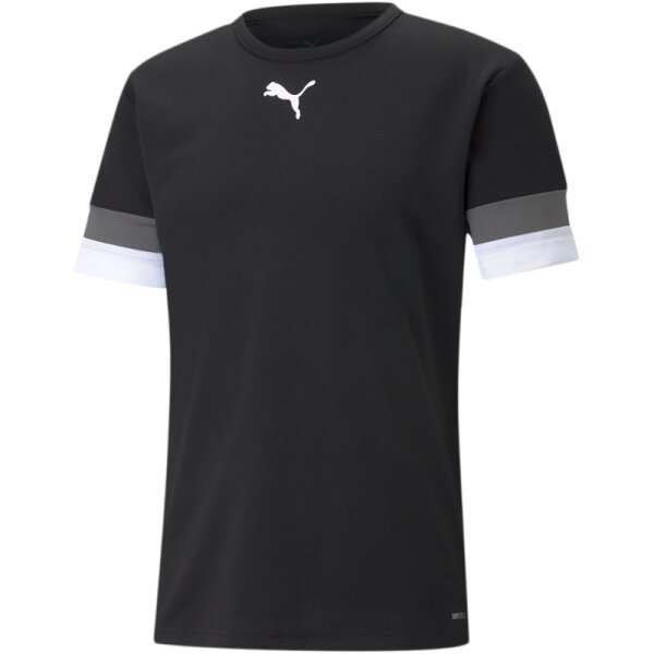 Puma teamRISE Trikot Herren - schwarz/grau/weiß