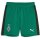 Puma Borussia Mönchengladbach Shorts 23/24 Kinder - grün/schwarz/weiß