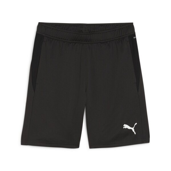 Puma teamGOAL Shorts Herren - schwarz