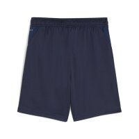 Puma teamGOAL Shorts Kinder - navy