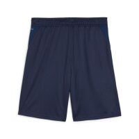 Puma teamGOAL Shorts Herren - navy