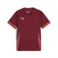 Puma teamGOAL Matchday Trikot Kinder - bordeaux