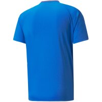 Puma teamVISION Trikot Herren - blau