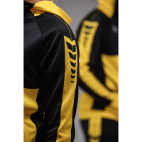 Erima Six Wings Trainingsjacke mit Kapuze Herren - gelb/schwarz