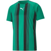 Puma teamLIGA Striped Trikot Herren - grün/schwarz