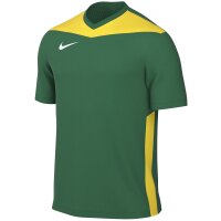 Nike Park Derby IV Trikot Herren - gr&uuml;n/gelb