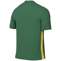 Nike Park Derby IV Trikot Herren - gr&uuml;n/gelb