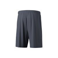 Erima TEAM Shorts Herren - grau