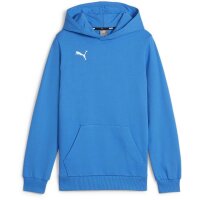 Puma teamGOAL Casuals Hoodie Kinder - blau