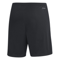 SG Empor Waldersee x adidas Entrada 22 Shorts Herren -...