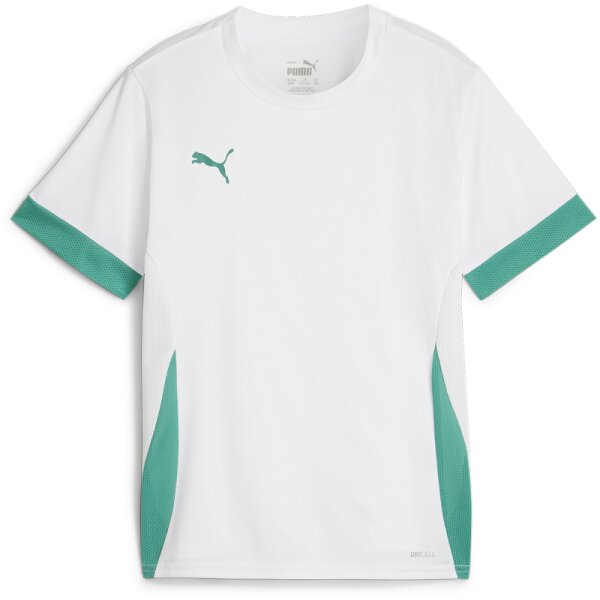 Puma teamGOAL Matchday Trikot Kinder - weiß/grün