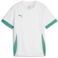 Puma teamGOAL Matchday Trikot Kinder - wei&szlig;/gr&uuml;n