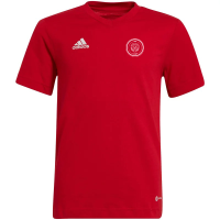 ISD Lions x adidas Entrada 22 T-Shirt Kinder - rot