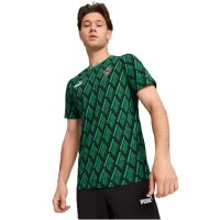 Puma Borussia M&ouml;nchengladbach ftblCulture Print T-Shirt Herren - gr&uuml;n/schwarz