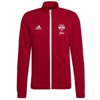 JSG Delhoven-Straberg x adidas Entrada 22 Trainingsjacke...