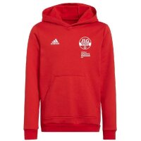 JSG Delhoven-Straberg x adidas Entrada 22 Hoodie Kinder -...