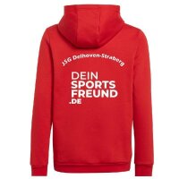 JSG Delhoven-Straberg x adidas Entrada 22 Hoodie Herren -...