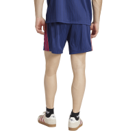 adidas FC Arsenal Terrace Icons Shorts Herren - blau/rot