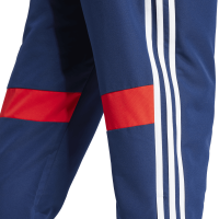 adidas Tiro 25 Essentials Woven Jogginghose Herren - blau/wei&szlig;/rot