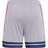 adidas Squadra 25 Shorts Herren - grau/blau/rot