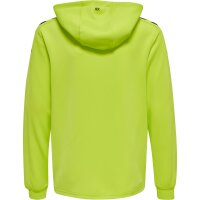 hummel Hmlcore Xk Poly Sweat Hoodie Kinder - lime popsicle