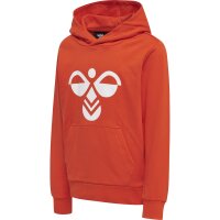 hummel Hmlcuatro Hoodie Kinder - cherry tomato