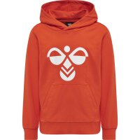 hummel Hmlcuatro Hoodie Kinder - cherry tomato