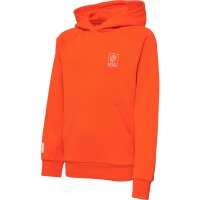 hummel Hmlgg12 Sweat Hoodie Kinder - cherry tomato