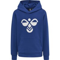 hummel Hmlcuatro Hoodie Kinder - sodalite blue